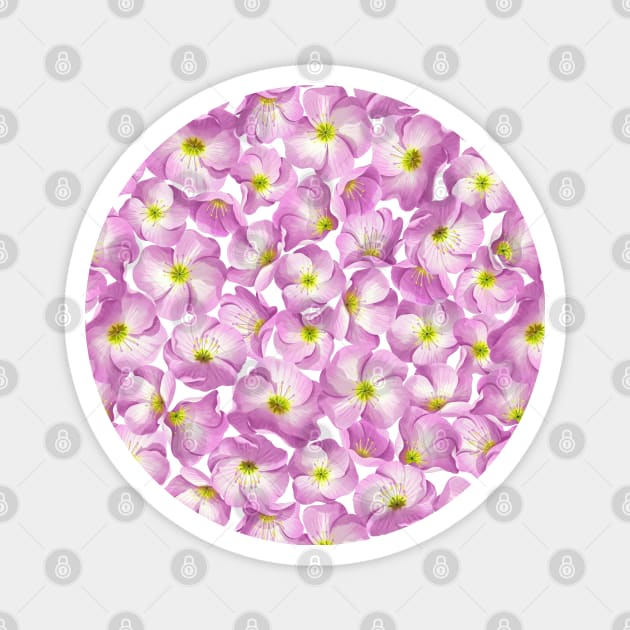 Pink evening primrose floral pattern Magnet by Stolenpencil